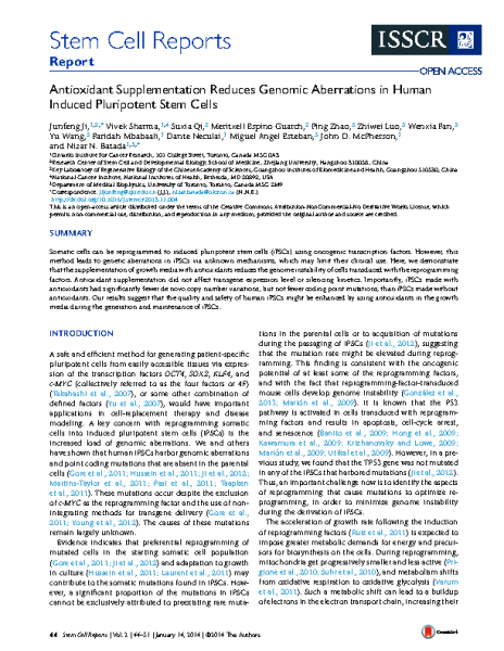 Antioxidants_suplements_reduce_genomic_aberrations_in_iPS_cells_Junfeng_SCR_2013