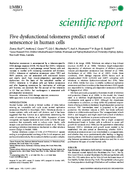 Five_dysfunctional_telomeres_predict_senescence_ReddelRR_EMBO_2011