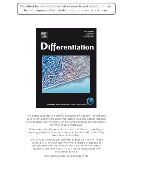 Mesenchymal_adipose_cells_telomerase_activity_2015