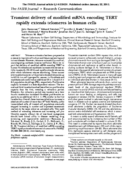 Modified_mRNA_encoding_TERT_extends_telomeres_Ramunas_FASEB_2015