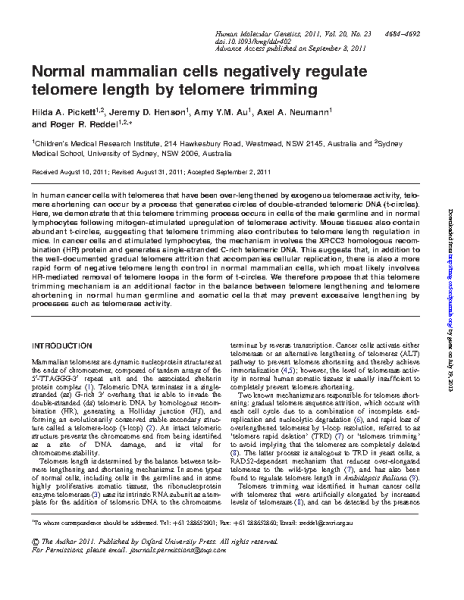 Pickett 2011 Hum Mol Genet Normal mammalian cells negatively regulate telomere length by telomere trimming