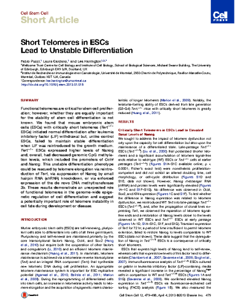 Short_Telomeres_in_ESCs_Unstable_differentiation_Pucci_Cell_2013