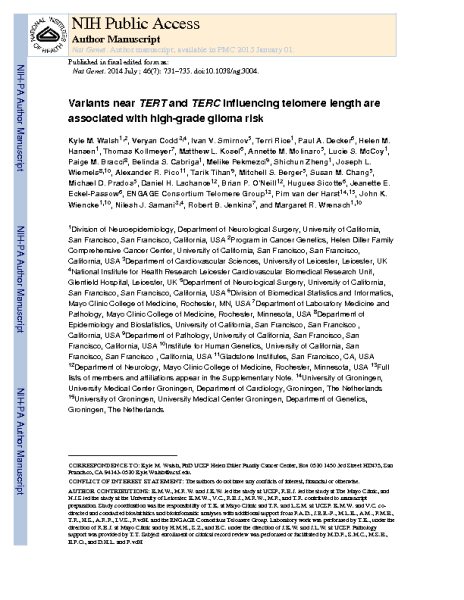 TERC_TERT_TL_higher_Glioma_Risk.Sekar_Kathiseran.NIH_2014