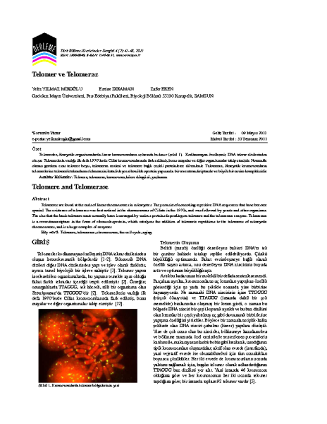 Telomer ve Telomeraz Derleme-Issue 2-29-2011