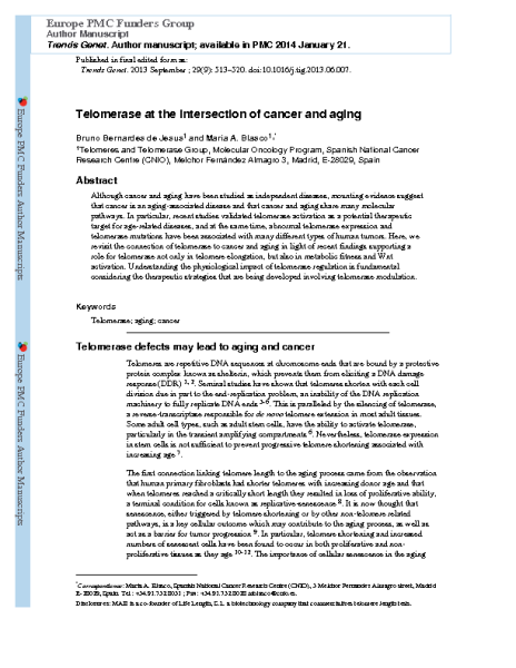 Telomerase_at_the_intersection_of_cancer_and_aging_BlascoM_PMC_2014