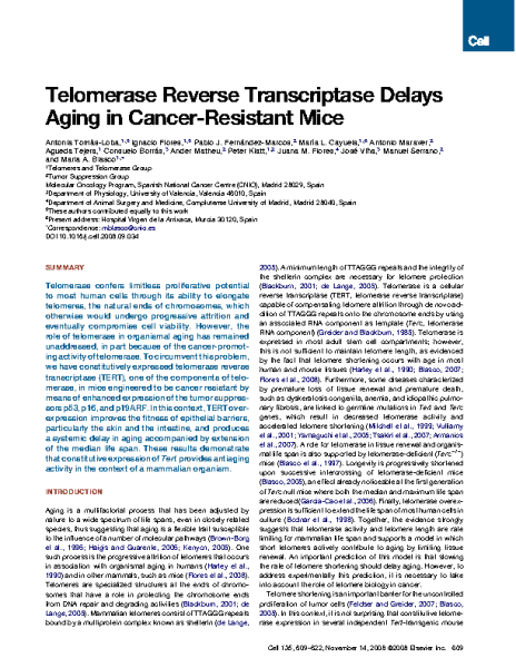 Telomerase_reverse_transcriptase_delays_aging_in_cancer_resistant_mice_BlascoM_Cell_2008