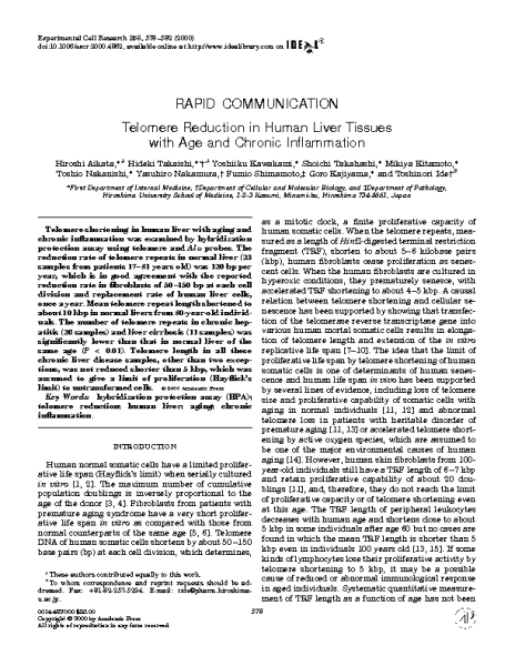 Telomere_REduction_Liver_Tissues_Age_Chronic_Inflammation.Toshinori_Ide.Academic_Press_2000