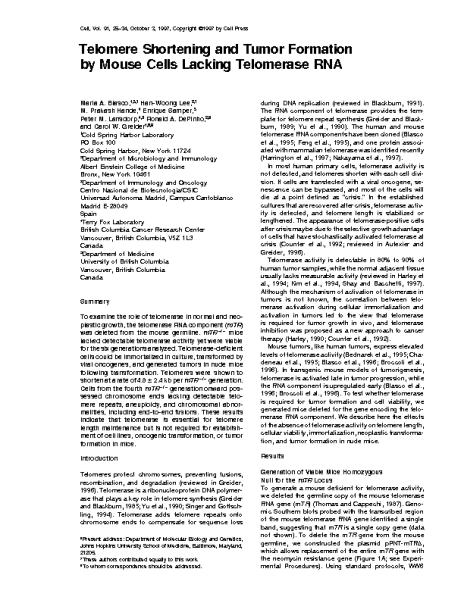 Telomere_shortening_and_tumor_formation_by_mouse_cells_lacking_telomerase_RNA_BlascoM_Cell_1997