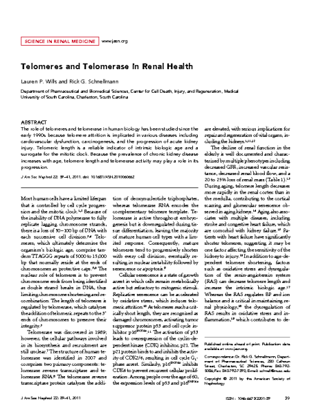 Telomeres_and_Telomerase_in_Renal_Health_SchnellmanDG_JAmSocNephrol_2011