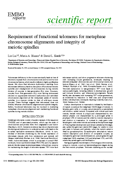 Telomeres_in_metaphase_chromosome_alignements_and_integrity_of_meiotic_spindles_KeefeDL_EMBO_2002