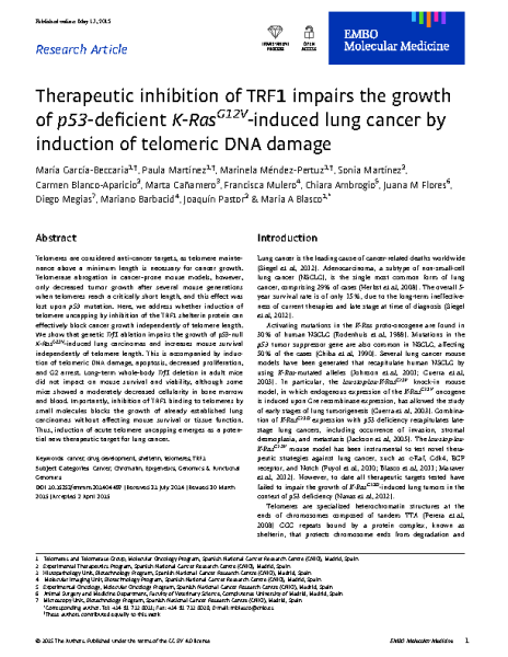 Therapeutic inhibition of TRF1 impairs the growth of p53-deficient K-RasG12V-induced lung cancer by induction of telomeric DNA damage.